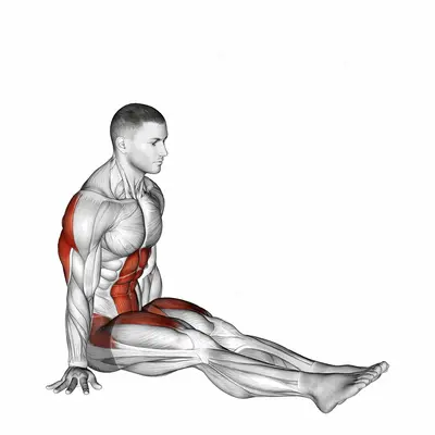V-Sit on Floor exercise targeting Deltoid Posterior and Iliopsoas