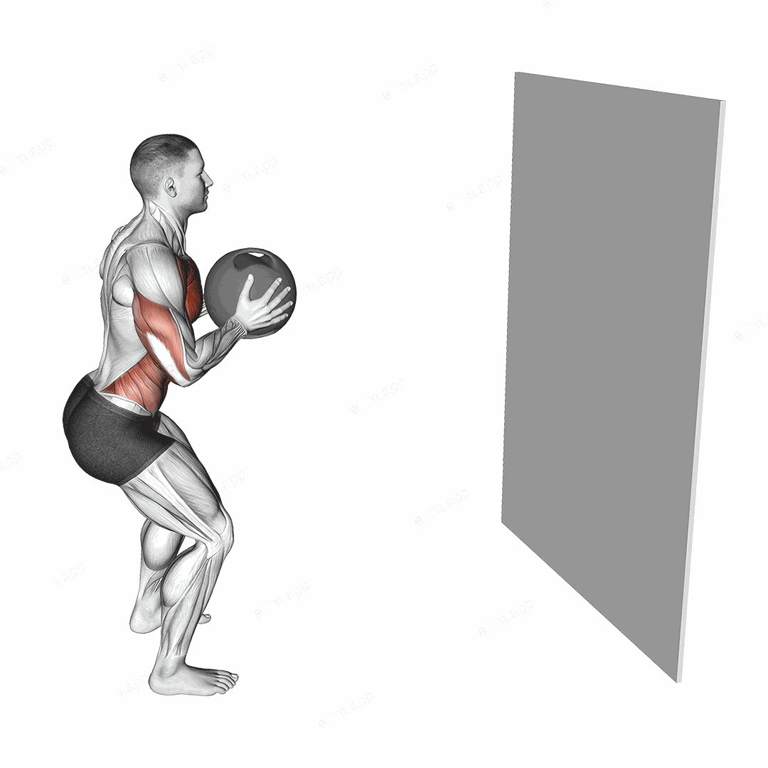 Medicine Ball Chest Pass against Wall exercise targeting Chest