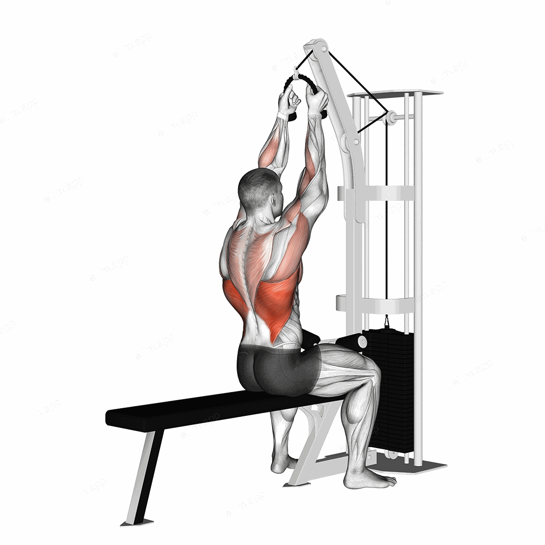 Cable Lateral Pulldown (with rope attachment) exercise targeting Back and Latissimus Dorsi