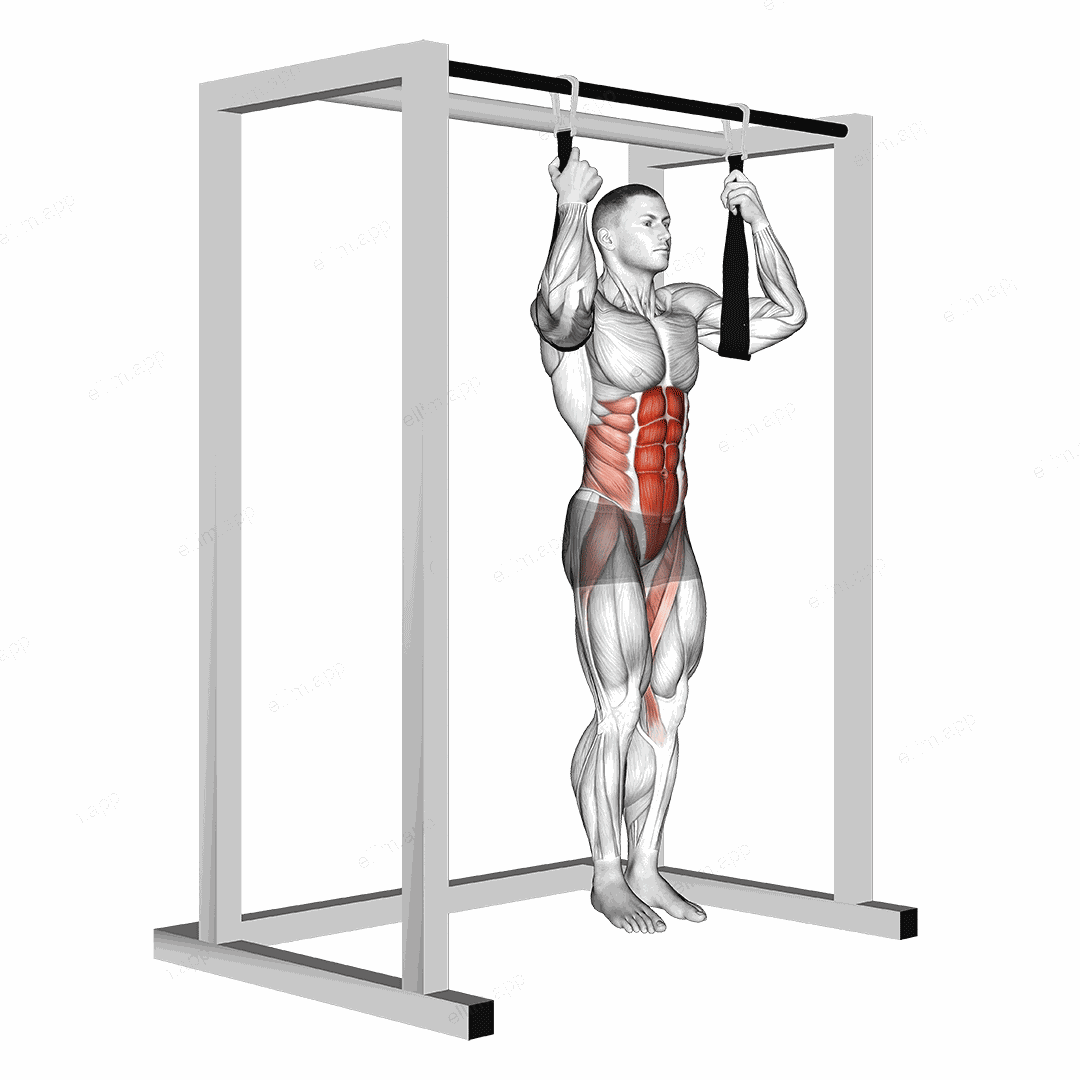 Arm slingers Hanging Bent Knee Legs exercise targeting Waist and Rectus Abdominis