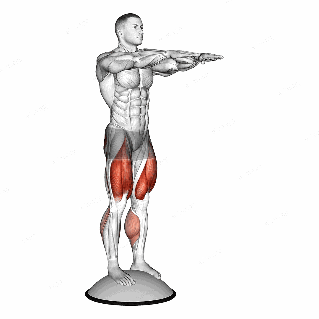 Squat On Bosu Ball exercise targeting Thighs and Gluteus Maximus