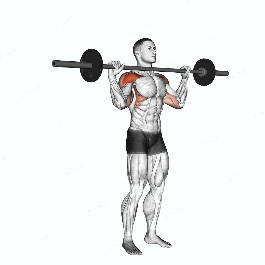 Barbell Standing Bradford Press exercise targeting Shoulders and Deltoid Anterior