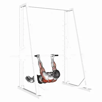 Underhand Grip Inverted Back Row exercise targeting Back