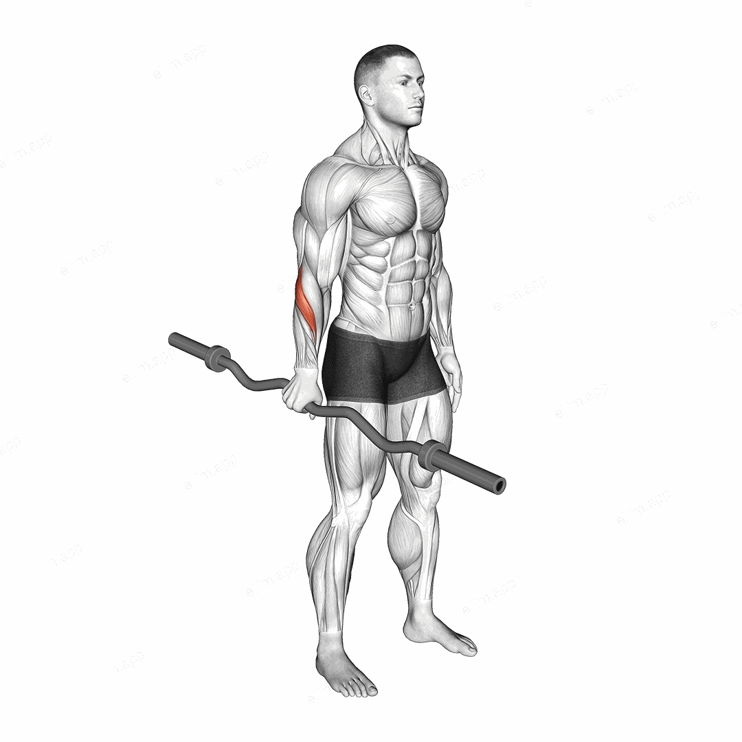 EZ Barbell Standing Single Arm Neutral Wrist Curl exercise targeting Forearms