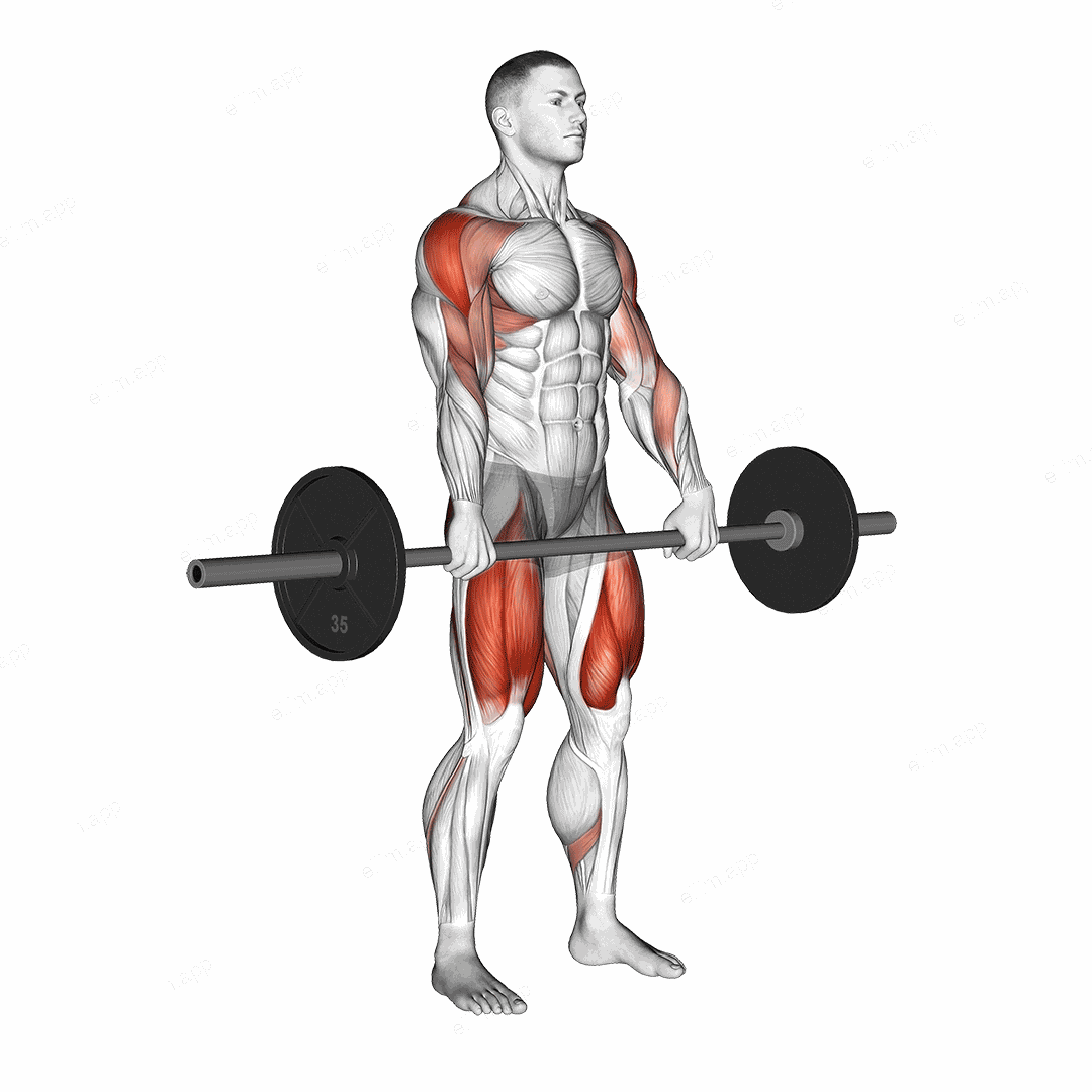 Barbell Squat to Upright Row exercise targeting Thighs