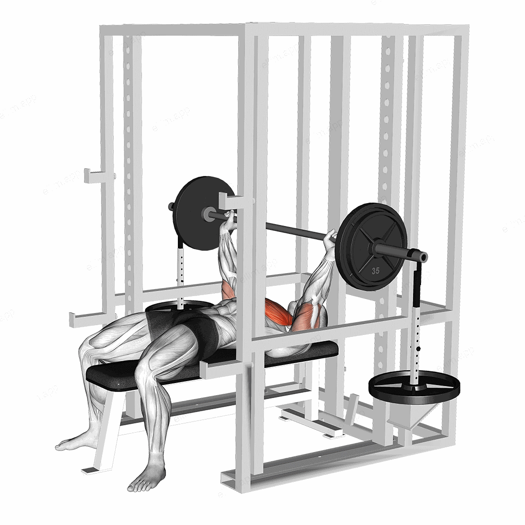 Barbell Weighted Bench Press exercise targeting Chest and Pectoralis Major Clavicular Head