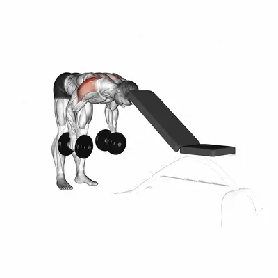 Dumbbell Rear Lateral Raise (support head) exercise targeting Shoulders and Deltoid Posterior