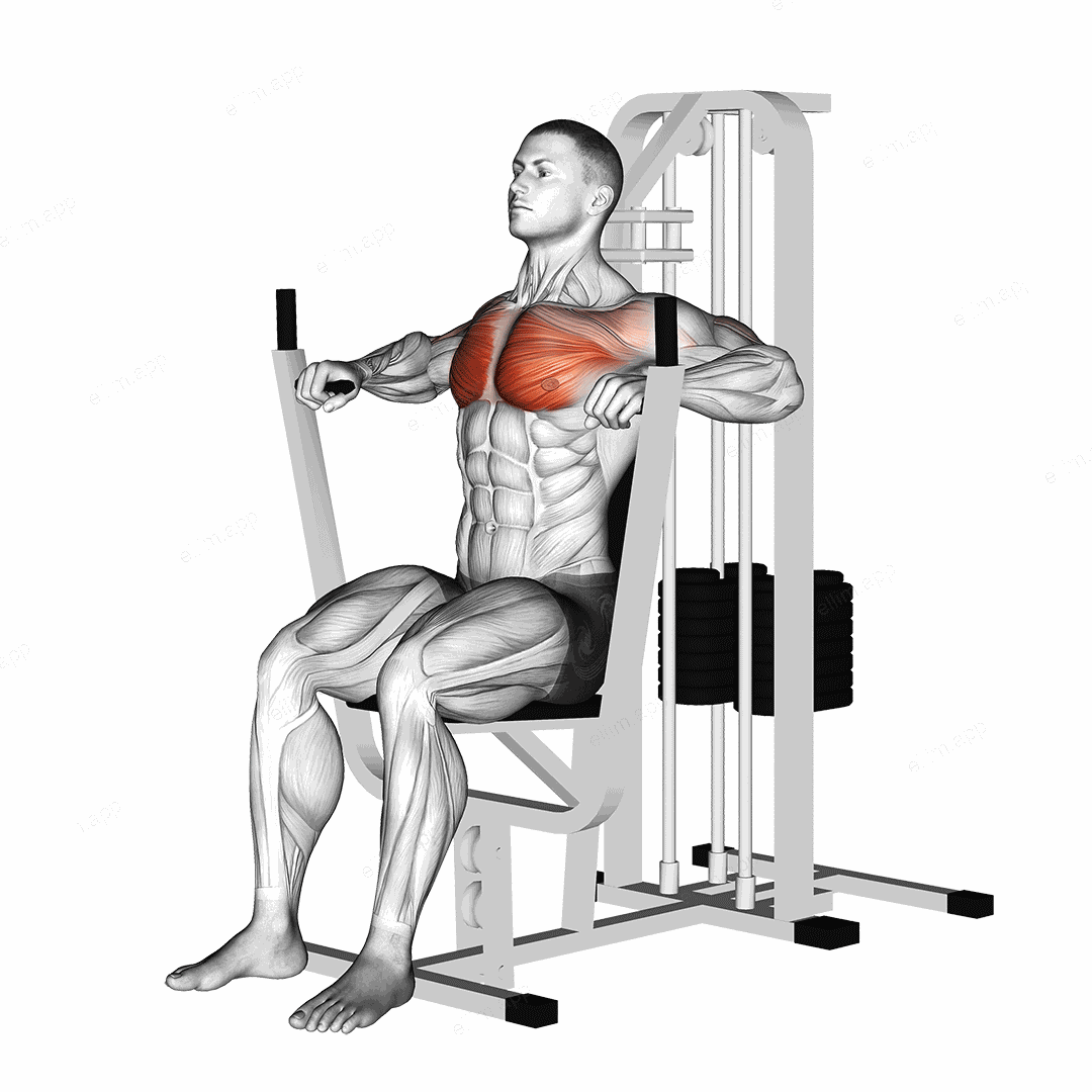 Lever Chest Press exercise targeting Chest and Pectoralis Major Sternal Head