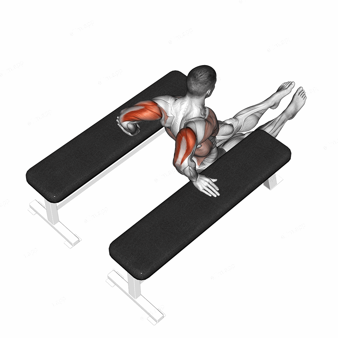 Triceps Dip (between benches) exercise targeting Upper Arms and Triceps Brachii