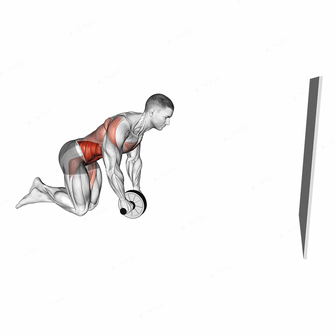Wheel Rollout with Wall Support exercise targeting Waist