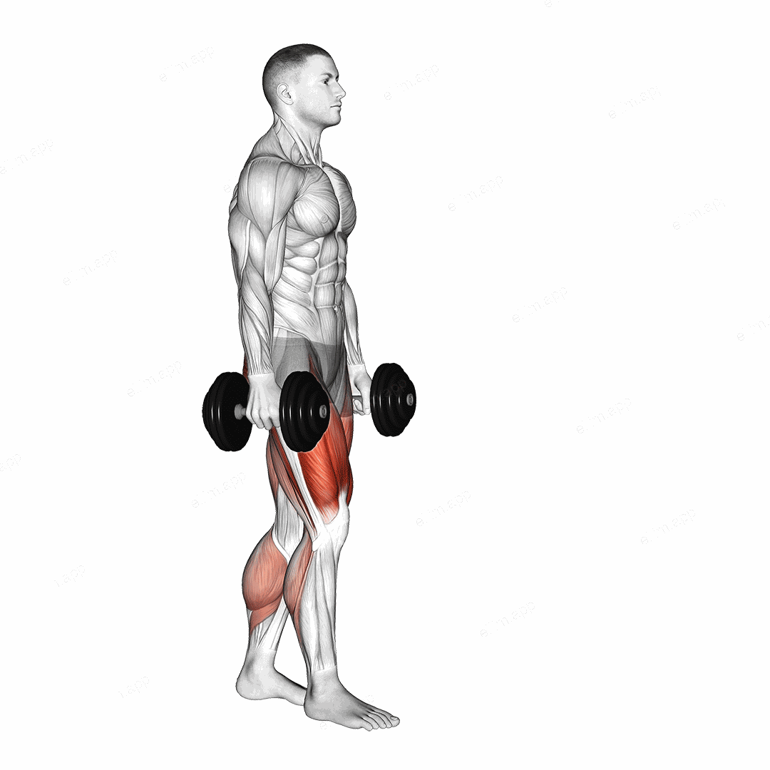 Dumbbell RDL Death March exercise targeting Hips and Gluteus Maximus