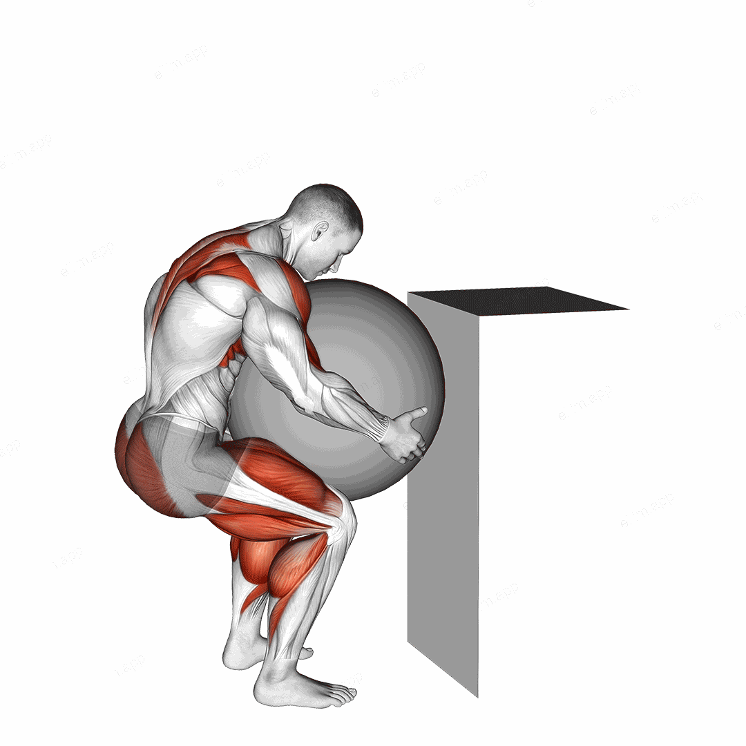 StrongMan Atlas Stones exercise targeting Back and Thighs