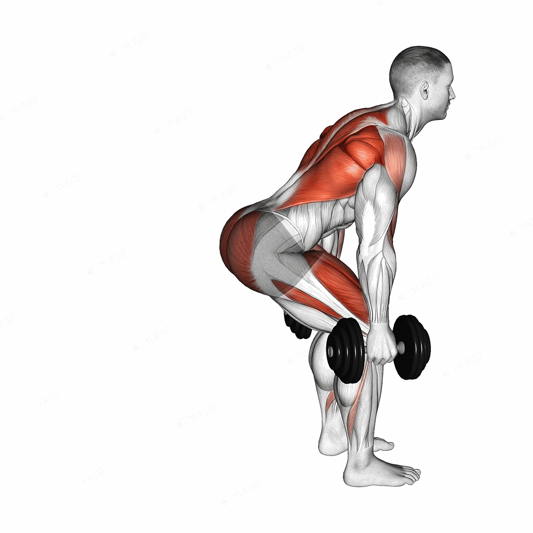 Dumbbell Step Back Lunge and Row exercise targeting Thighs