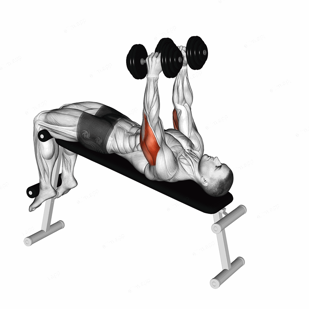 Dumbbell Decline Triceps Extension exercise targeting Upper Arms and Triceps Brachii