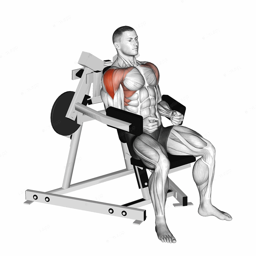 Lever Lateral Raise (plate loaded) exercise targeting Shoulders and Deltoid Lateral