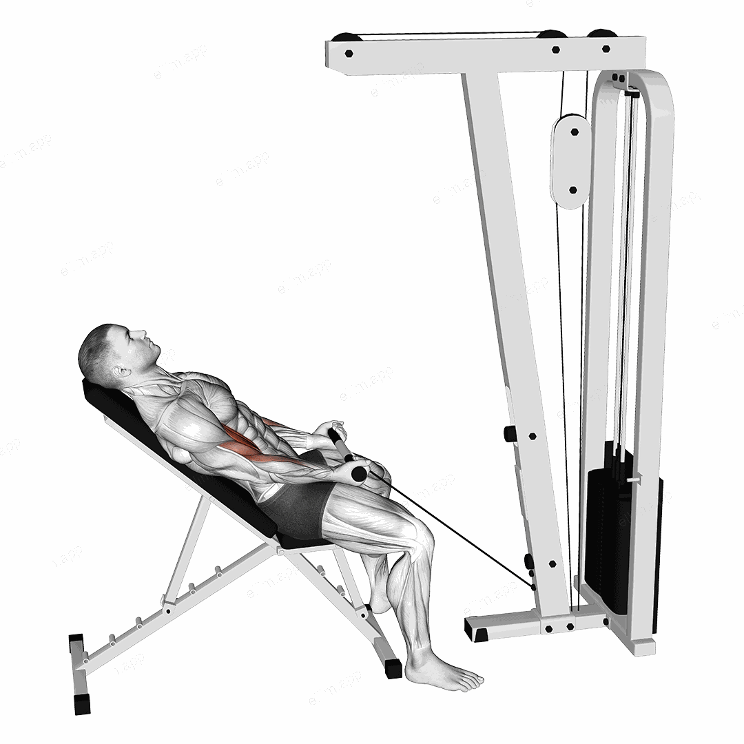 Cable Incline Biceps Curl exercise targeting Upper Arms