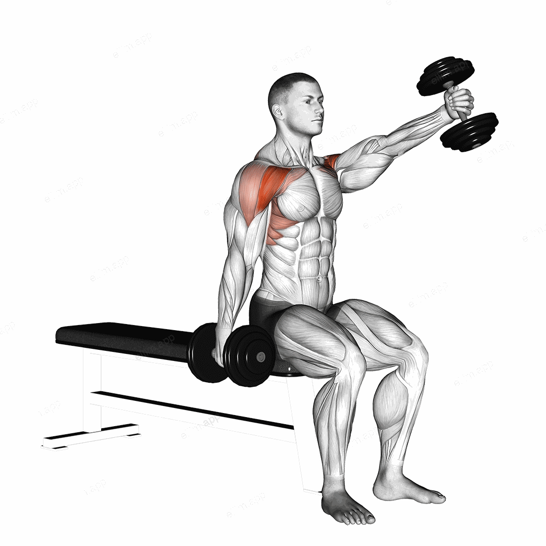 Dumbbell Seated Alternate Front Raise exercise targeting Shoulders and Deltoid Anterior
