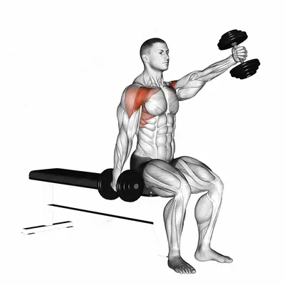 Dumbbell Seated Alternate Front Raise exercise targeting Shoulders and Deltoid Anterior