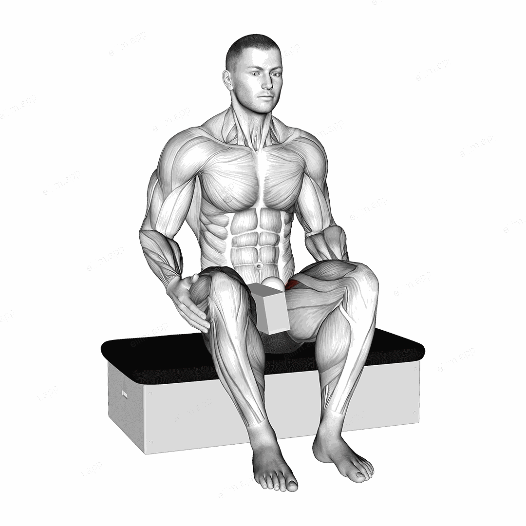 Roll Ball Seated Pectineus Activation exercise targeting Stretching