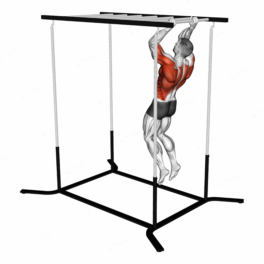 Climbing Monkey Bars exercise targeting Plyometrics