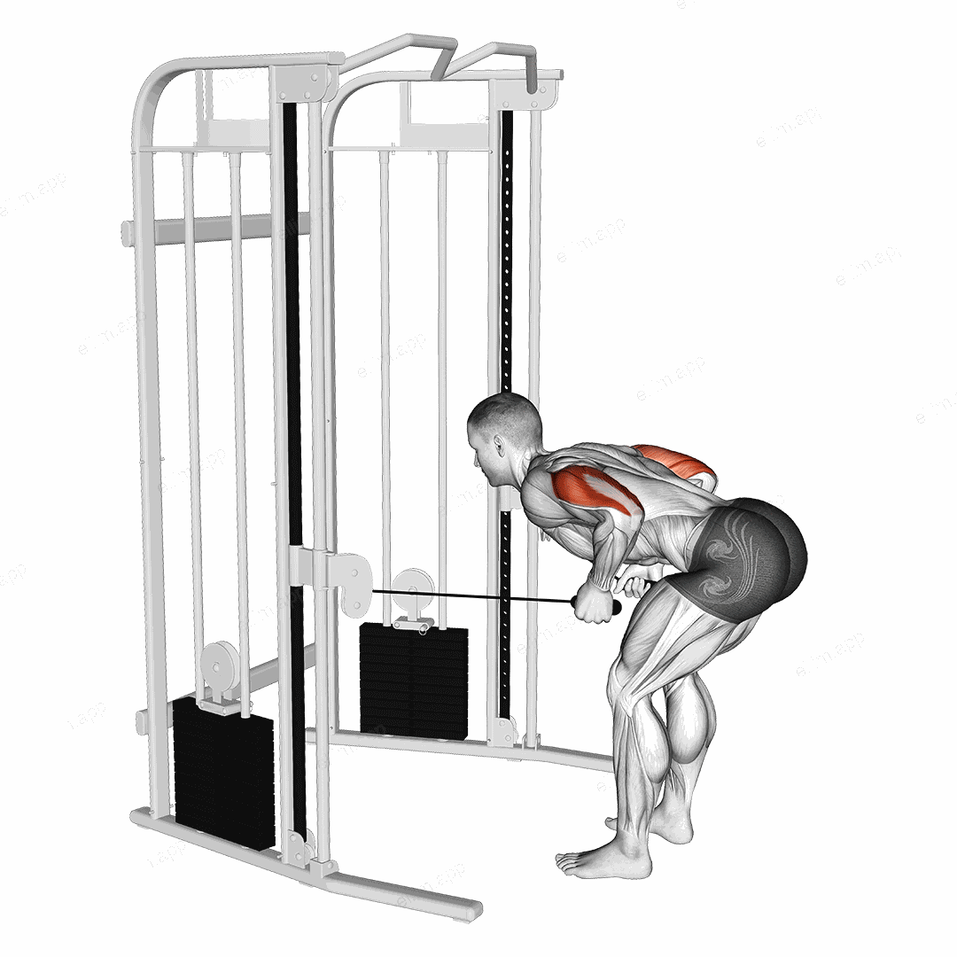 Cable Two Arm Tricep Kickback exercise targeting Upper Arms