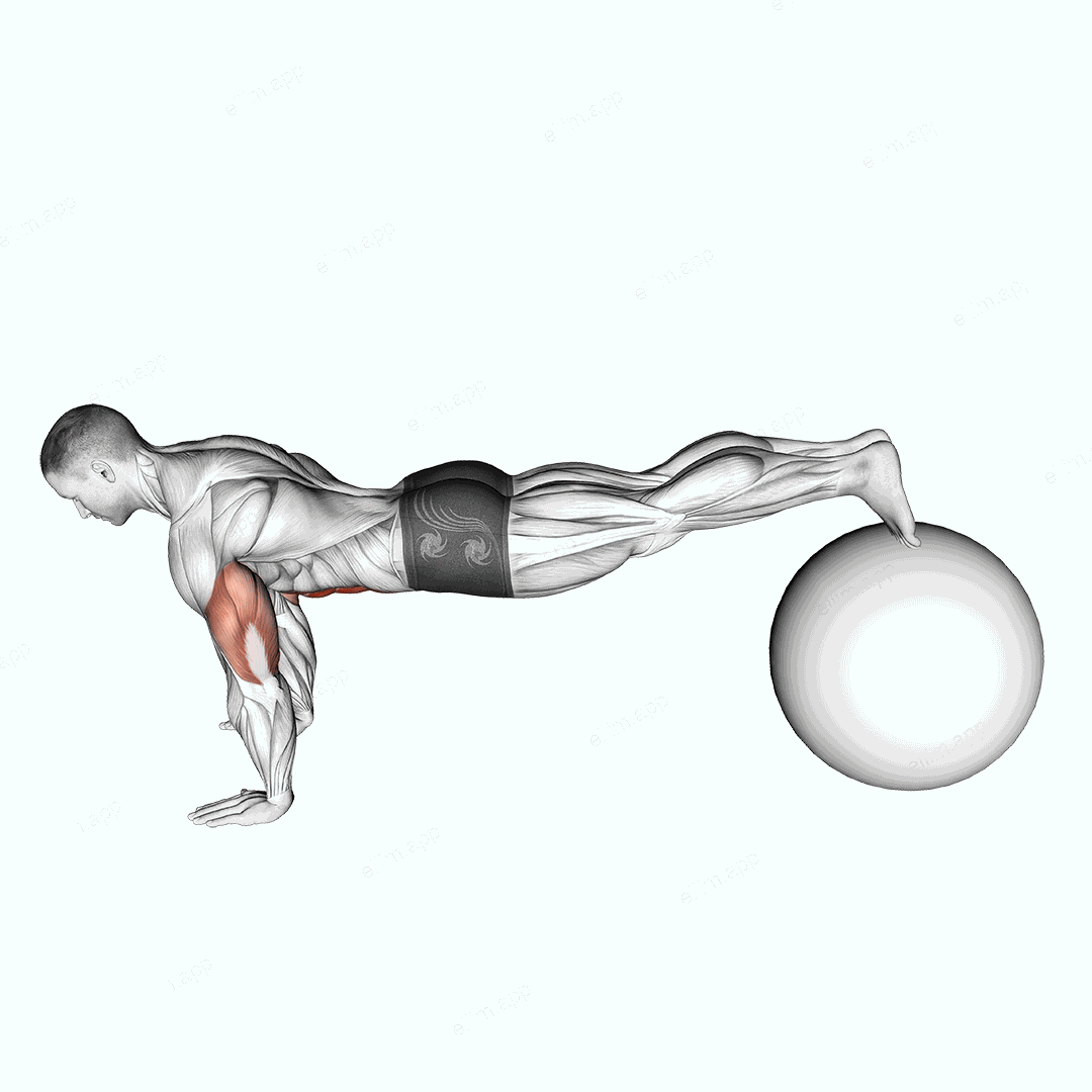 Exercise Ball Pike Pushup exercise targeting Chest