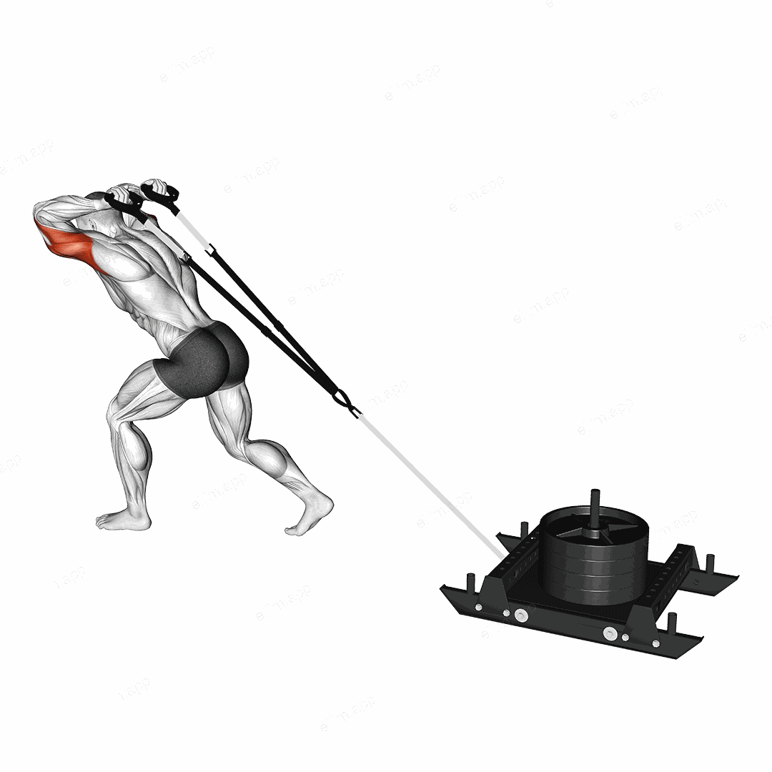 Power Sled Triceps Extension exercise targeting Upper Arms