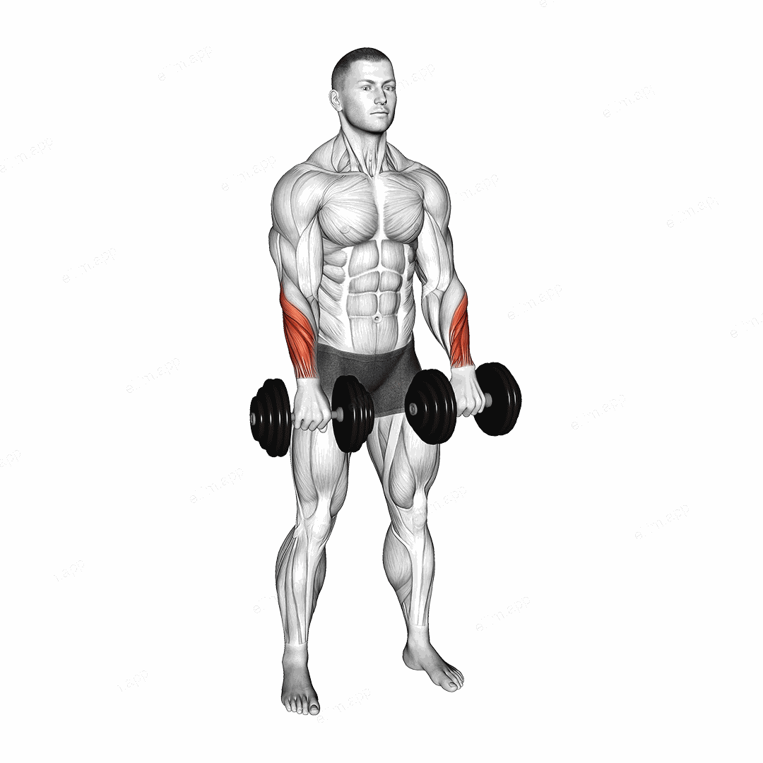 Dumbbell Standing Wrist Reverse Curl exercise targeting Forearms