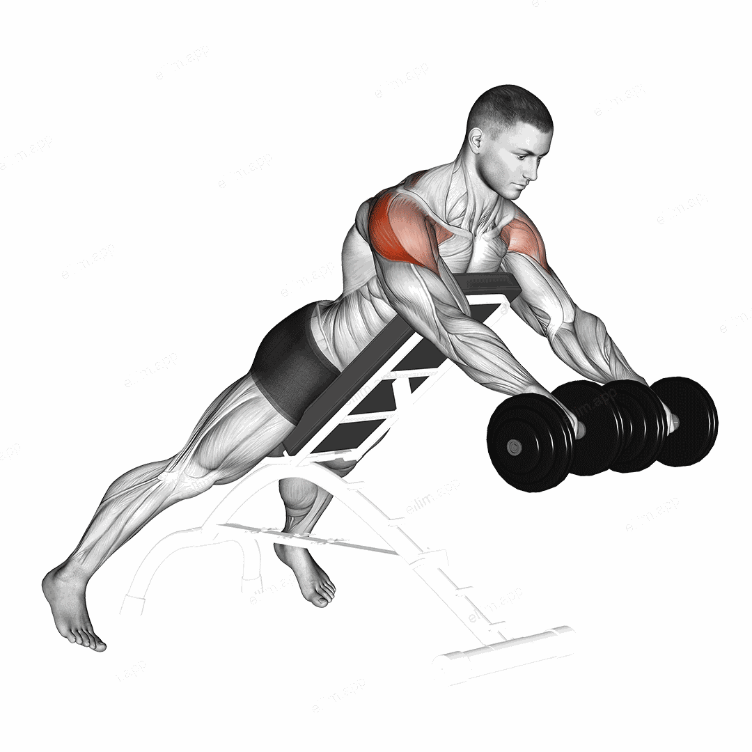Dumbbell Rotation Reverse Fly exercise targeting Shoulders and Deltoid Posterior