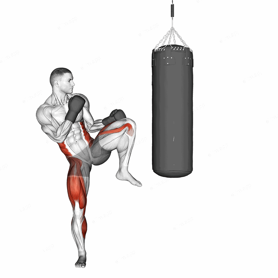 Front Kick Kickboxing (with boxing bag) exercise targeting Plyometrics
