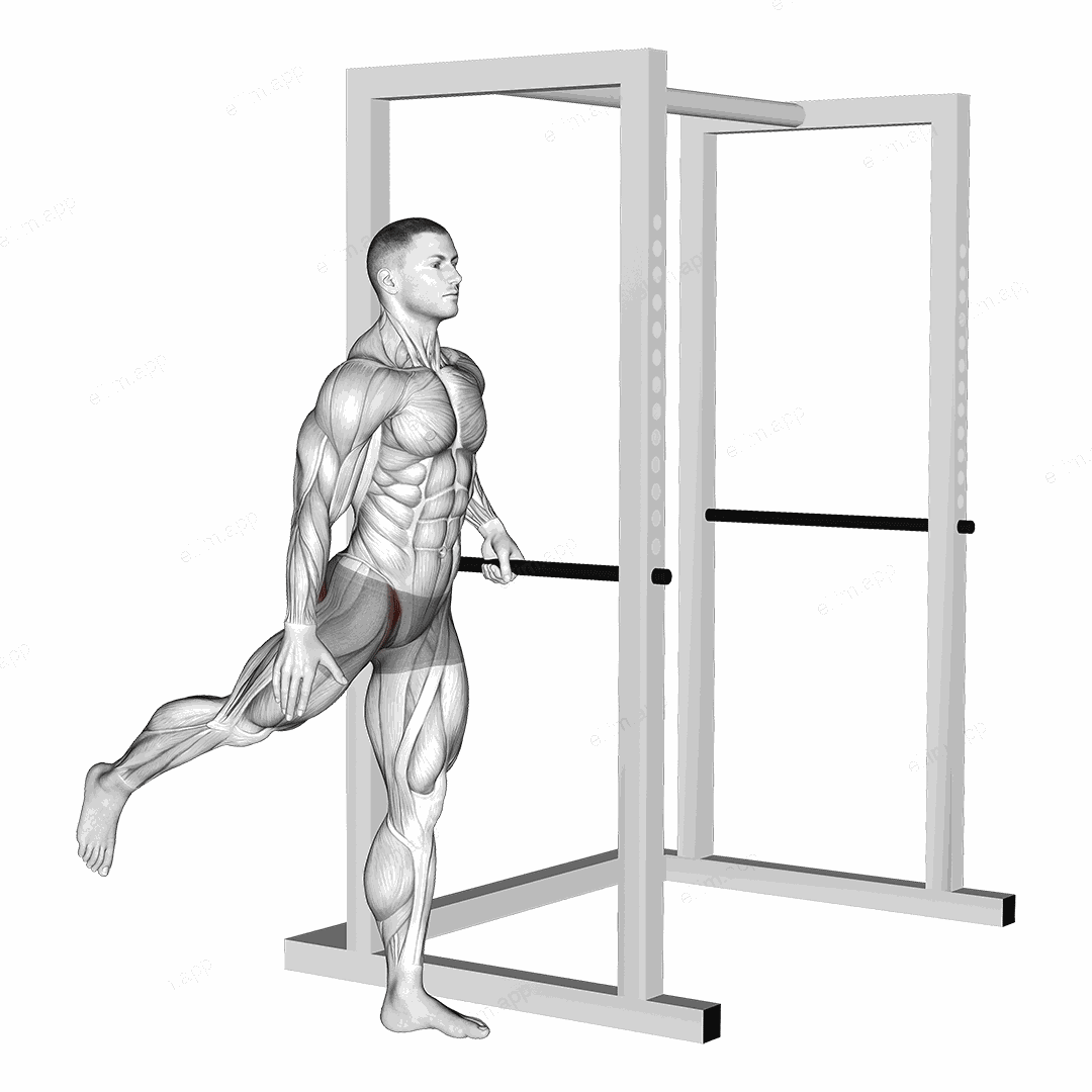 Back Forward Leg Swings exercise targeting Hips and Gluteus Maximus