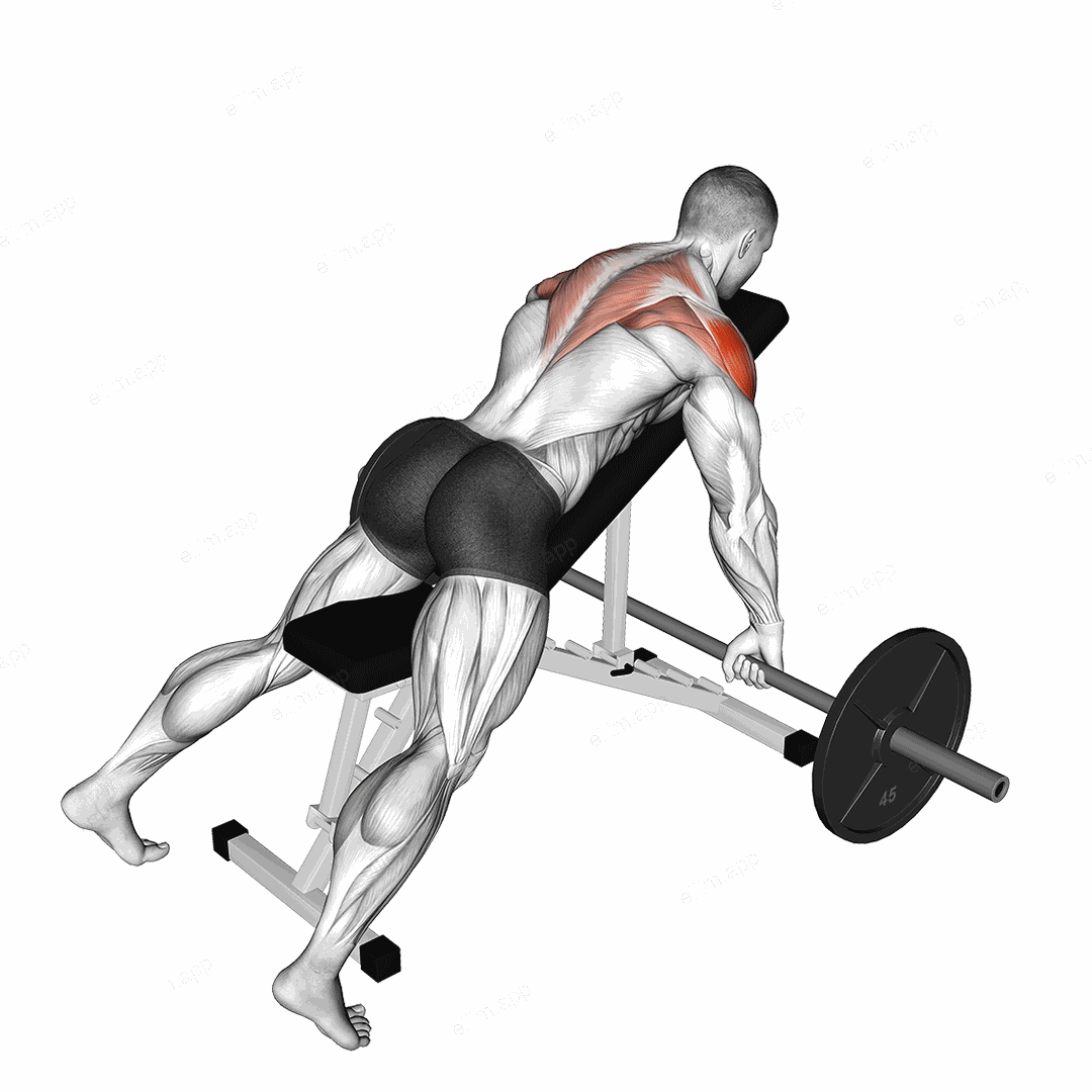 Barbell Incline Rear Delt Row exercise targeting Back