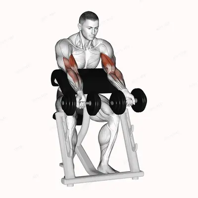 Dumbbell Zottman Preacher Curl exercise targeting Upper Arms and Biceps Brachii