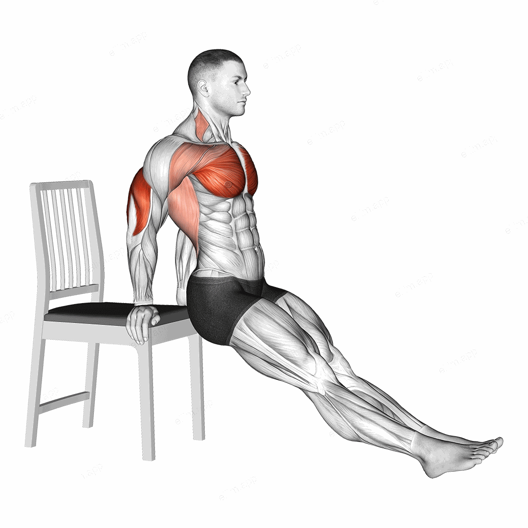 Dip on Floor with Chair exercise targeting Pectoralis Major Sternal Head and Triceps Brachii