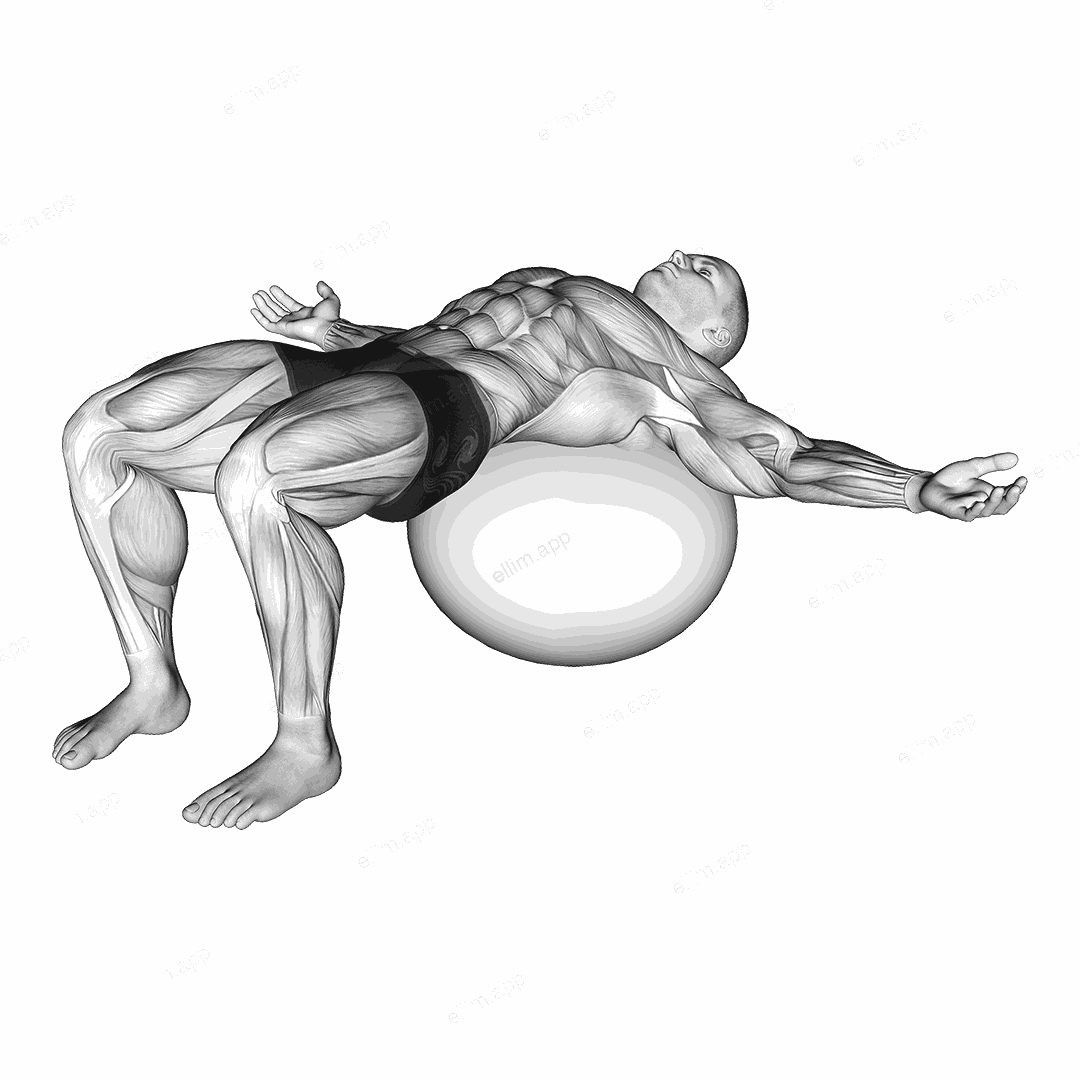Back Relaxation exercise targeting Back and Erector Spinae