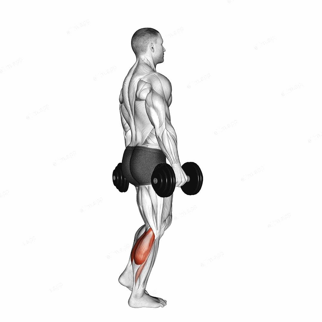 Dumbbell Standing Single Leg Calf Raise exercise targeting Calves and Gastrocnemius