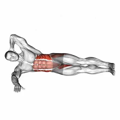 Oblique Crunches with Straight Leg Lift exercise targeting Waist and Adductor Brevis