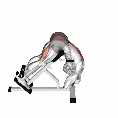 Rounded Back Extension exercise targeting Hips