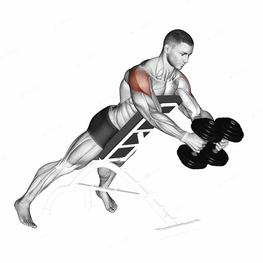 Dumbbell Reverse Fly exercise targeting Shoulders and Deltoid Posterior