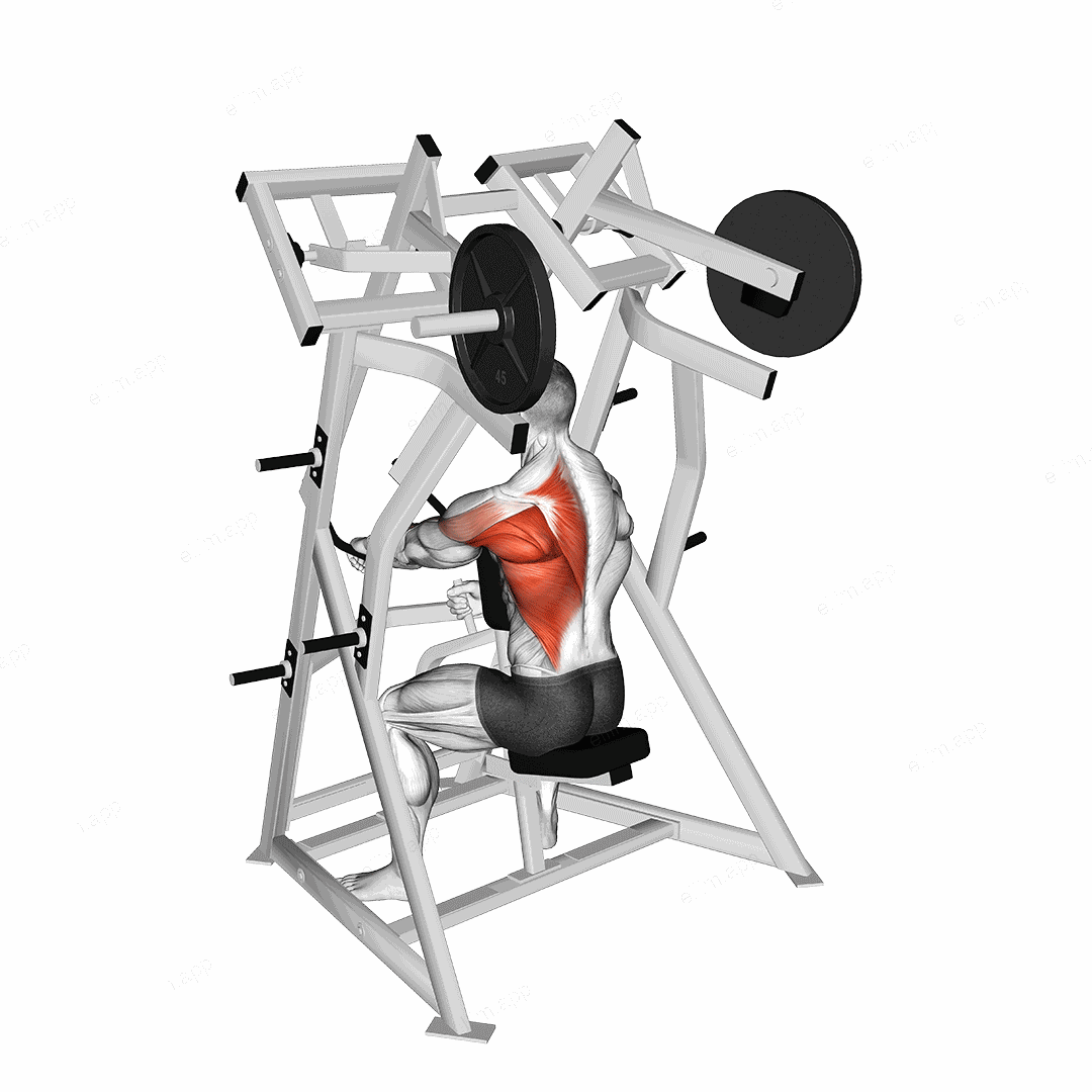 Lever One Arm Low Row (plate loaded) exercise targeting Back