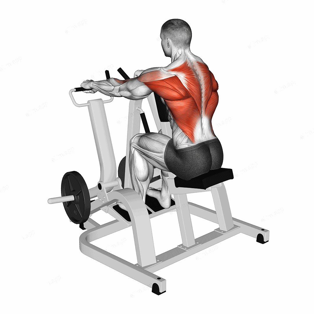 Lever Pronated Grip Seated Row (plate loaded) exercise targeting Back and Infraspinatus