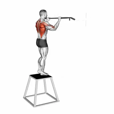 Pull-up (negative) exercise targeting Back