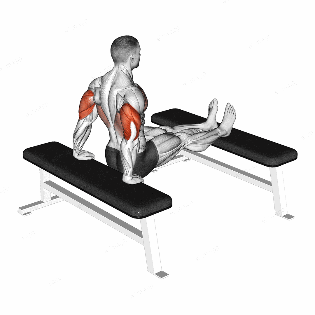 Triceps Dip (bench leg) exercise targeting Upper Arms and Triceps Brachii