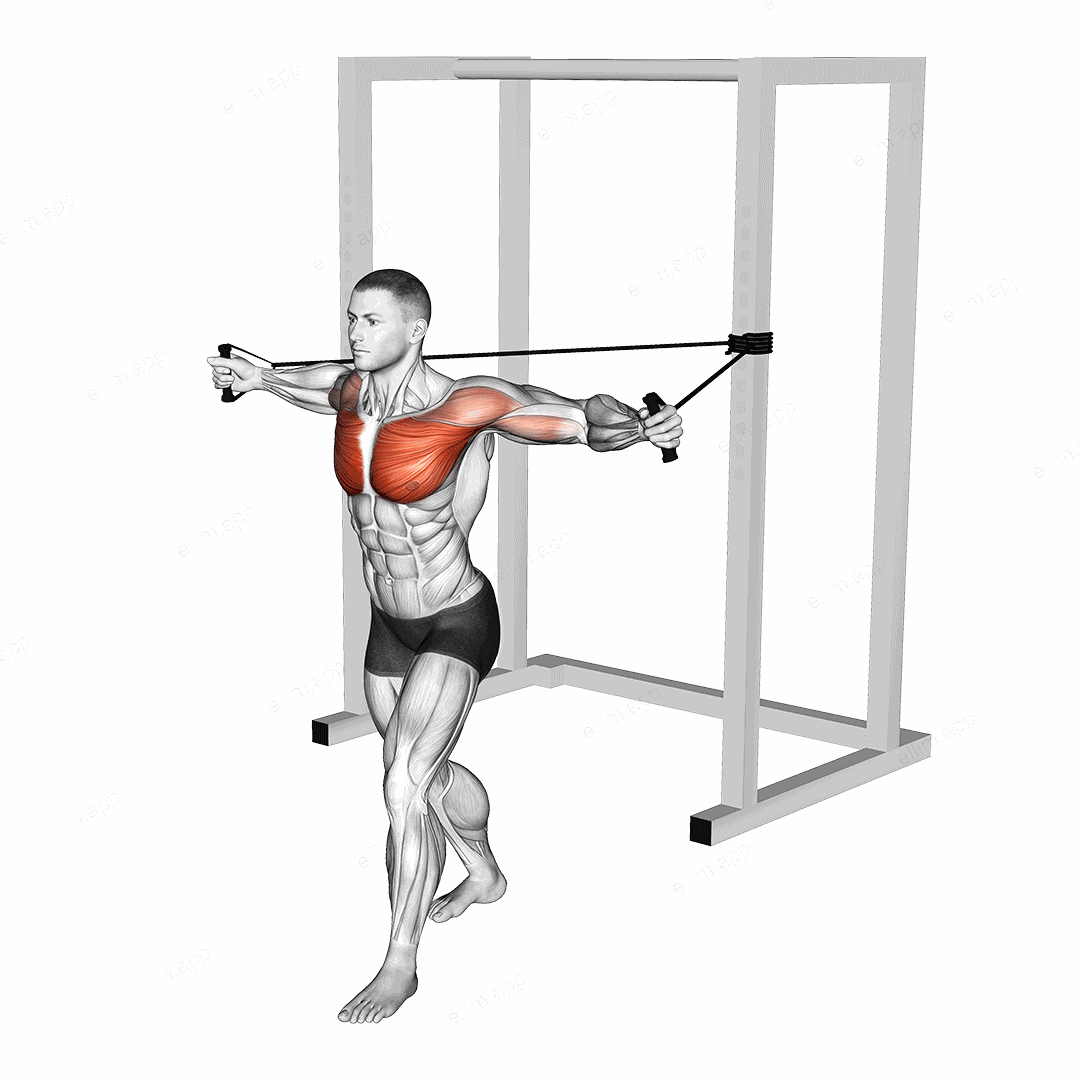 Band Chest Fly exercise targeting Chest and Pectoralis Major Clavicular Head