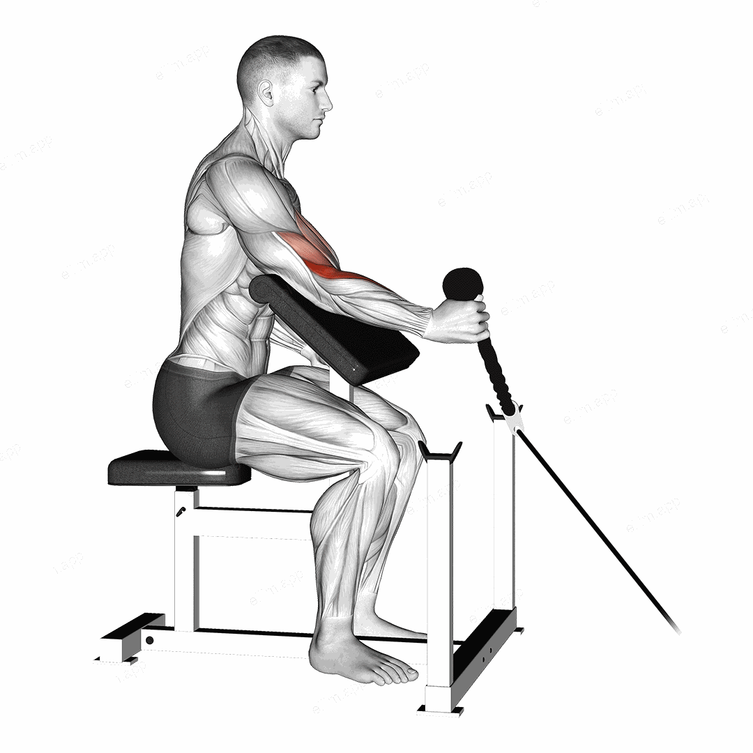 Cable Rope One Arm Hammer Preacher Curl exercise targeting Upper Arms
