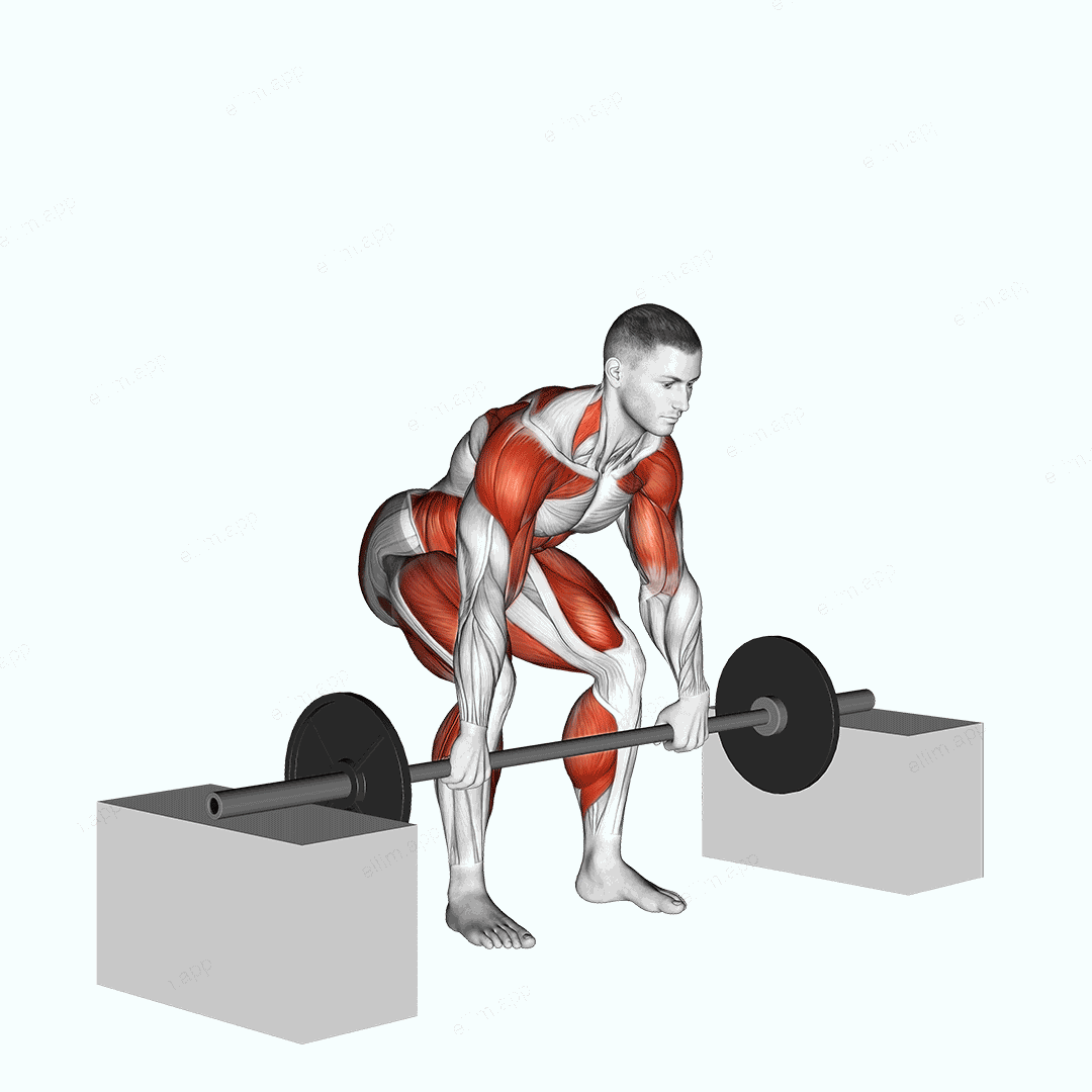 Barbell Power Clean from Blocks exercise targeting Weightlifting and Adductor Magnus