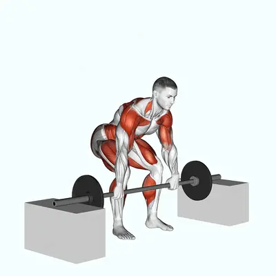 Barbell Power Clean from Blocks exercise targeting Weightlifting and Adductor Magnus