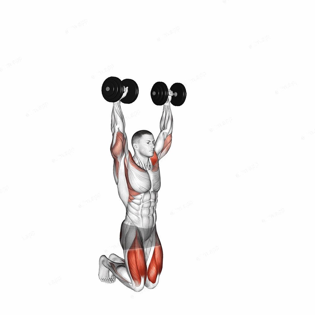Dumbbell Kneeling Hold to Stand exercise targeting Deltoid Anterior and Gluteus Maximus