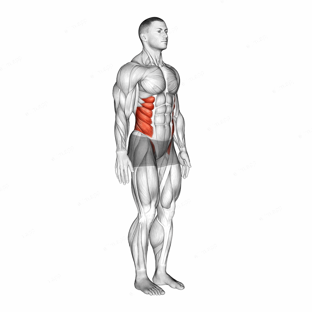 Spine (Lumbar) - Rotation exercise targeting Hips