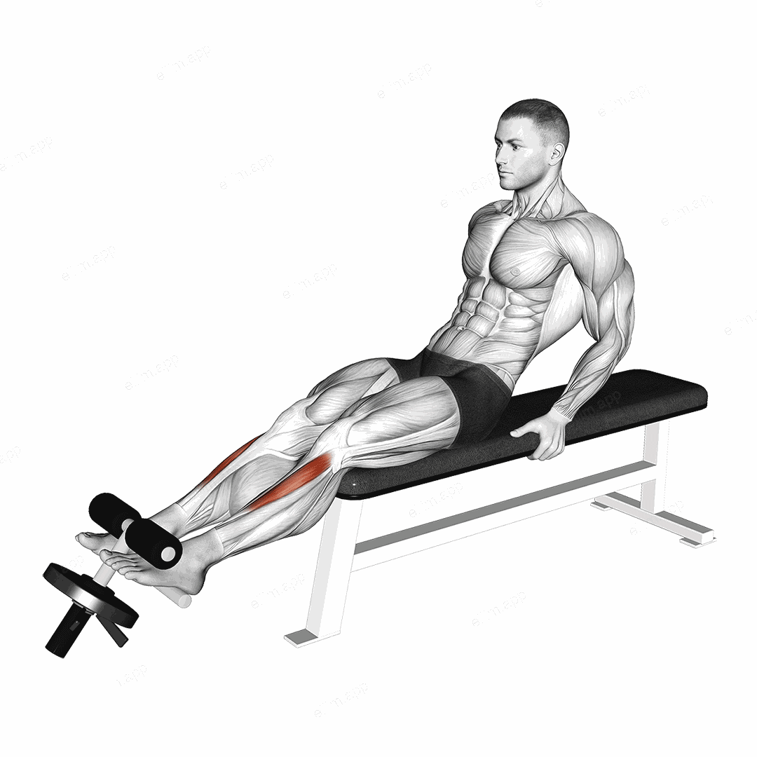 Weighted Plate Tibialis Anterior Curl exercise targeting Calves